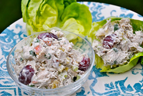 Best Health Conscious Chicken Salad Recipe